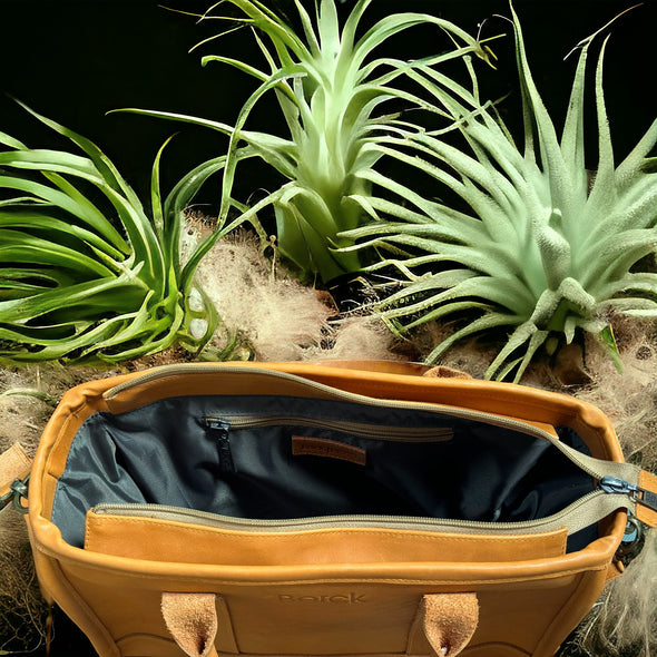 Lil Dizzy Tote - NEW!