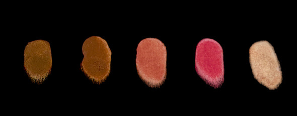 BB Let's Go! 5 Pan Creme Travel Palette For Face